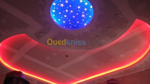 Plafond décoratif artistique,isolatioé