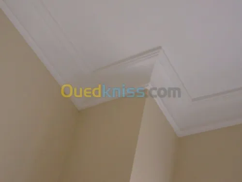 Travaux de platre