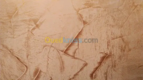  peintre decorateur qualifié