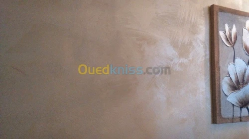  peintre decorateur qualifié