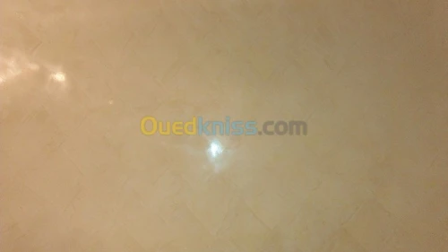  peintre decorateur qualifié