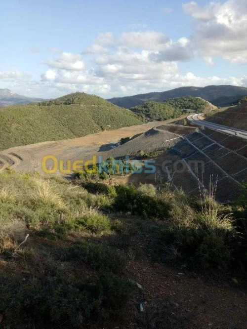 Vente Terrain Agricole Tipaza Cherchell