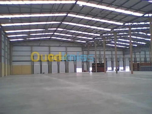 Location Hangar Alger Oued smar