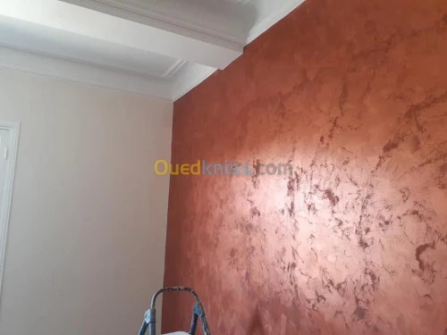 Peinture, Plomberie , BA13, PVC,