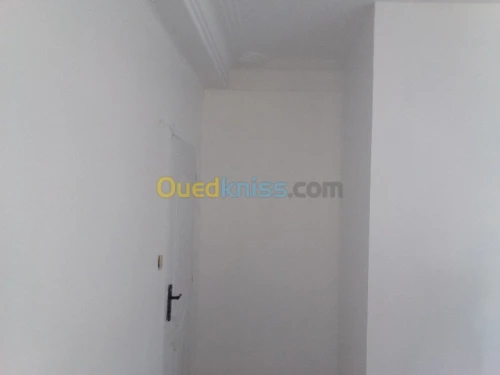 Peinture, Plomberie , BA13, PVC,