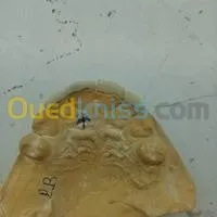 LABORATOIRE DE PROTHESE DENTAIRE