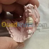 LABORATOIRE DE PROTHESE DENTAIRE