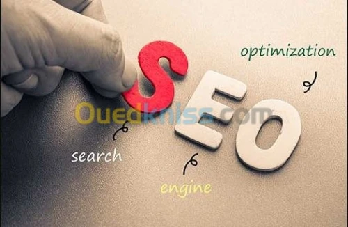 https://digitalpartner.dz/