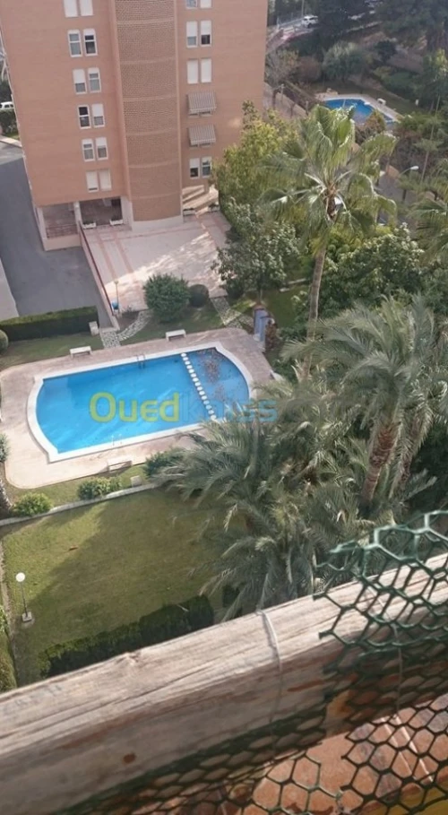 Location Appartement 