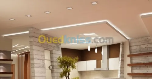 Tous travaux de placo-platre BA13.