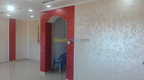 Peinture décorative professionnelle 