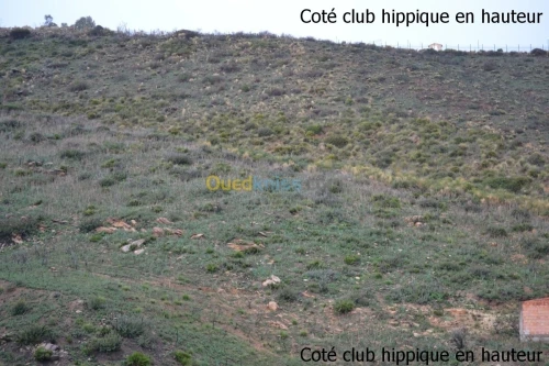 Vente Terrain Annaba Annaba