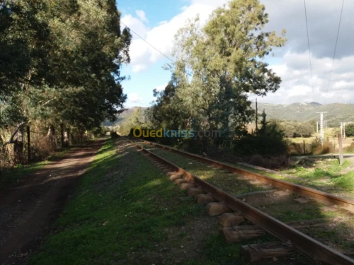 Vente Terrain Jijel El milia