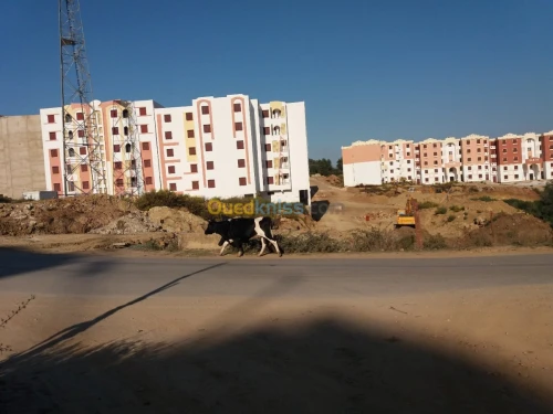 Vente Terrain Jijel El milia