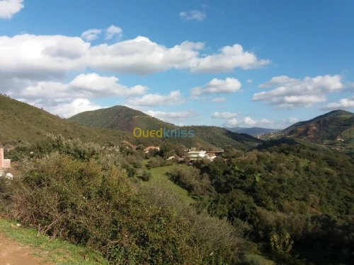 Vente Terrain Jijel El milia
