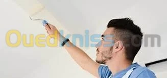 -peinture_exterieur--cloison ba13--f