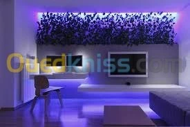 كهرباء عامه انترنت كامرا 