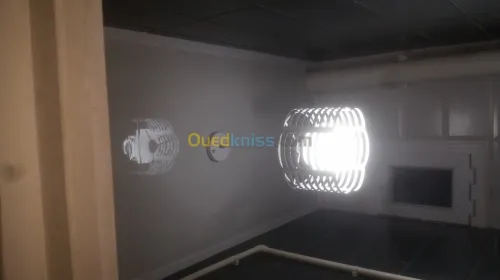 Dz