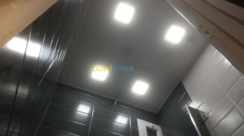 Dz