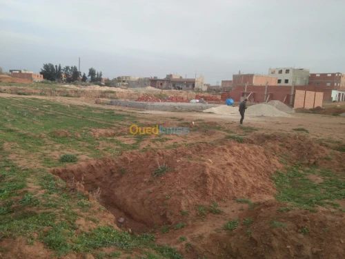 Vente Terrain Tlemcen Maghnia
