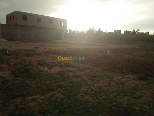 Vente Terrain Tlemcen Maghnia