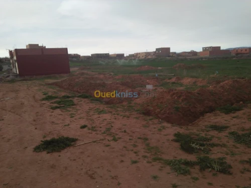 Vente Terrain Tlemcen Maghnia