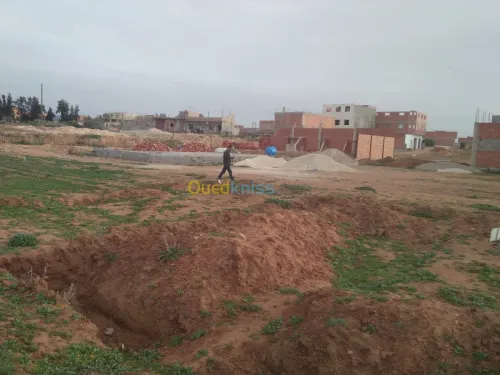 Vente Terrain Tlemcen Maghnia