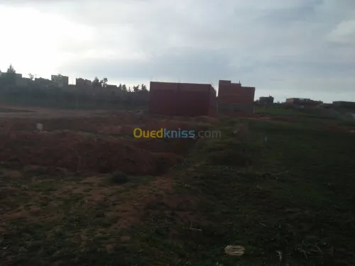 Vente Terrain Tlemcen Maghnia