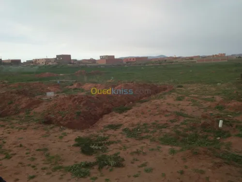 Vente Terrain Tlemcen Maghnia