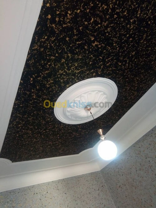 platre decor-peinture