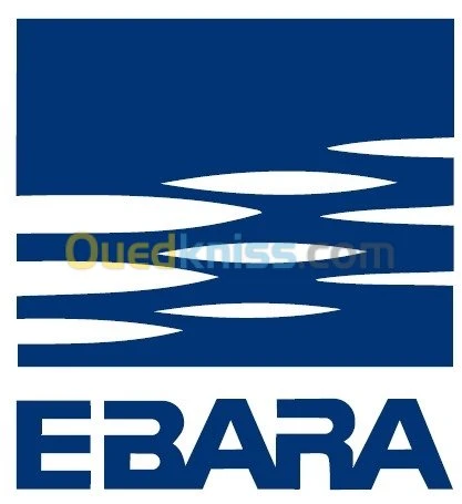 pompe horizontal ebara italy 3D