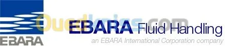 pompe horizontal ebara italy 3D