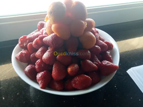 VENTE GLACES ET SORBETS ARTISANALES 