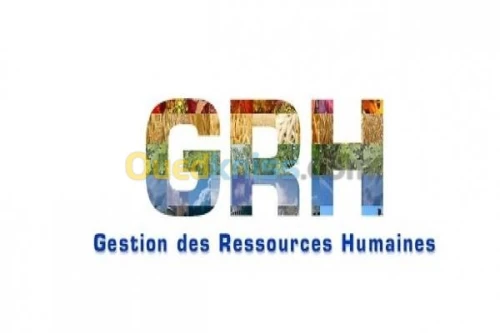 Formation en GRH