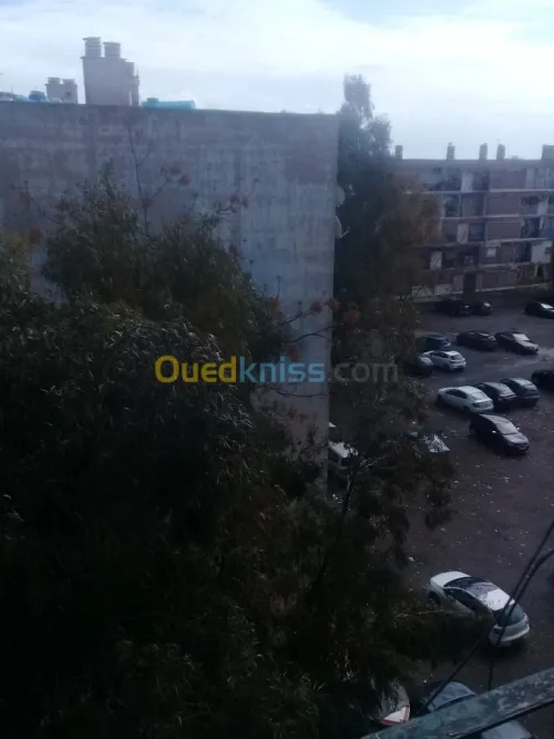 Location Appartement F3 Oran Oran