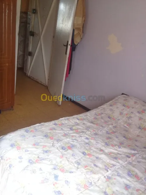 Location Appartement F3 Oran Oran