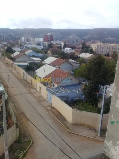 Location Appartement F3 Oran Oran