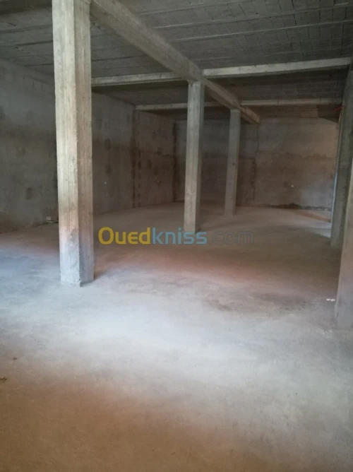 Location Hangar Medea Ksar boukhari