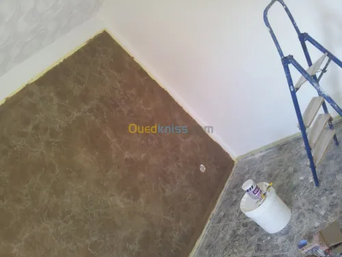 tout type de peinture et plafond ba 13