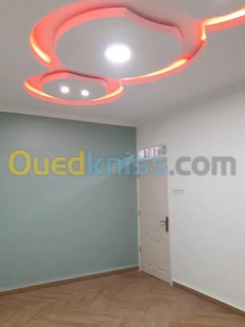 tout type de peinture et plafond ba 13