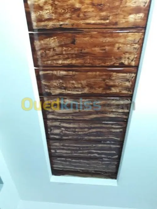 tout type de peinture et plafond ba 13