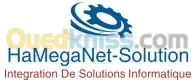 Intégration De Solution Informatique