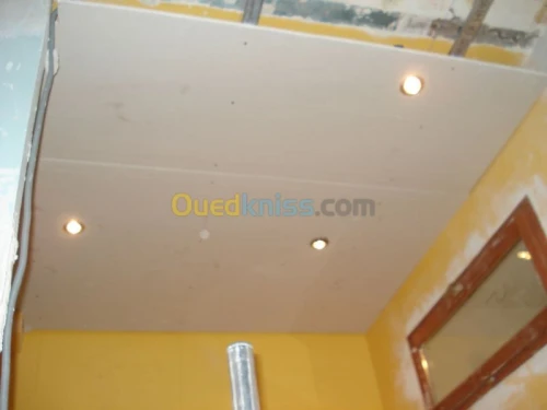 faux plafond pvc