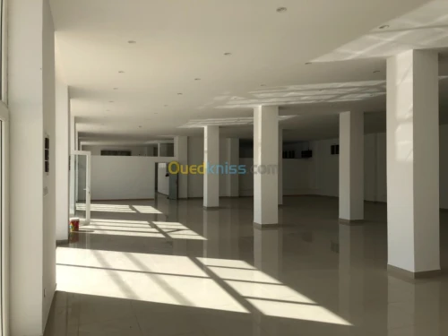 Location Hangar Alger Birtouta