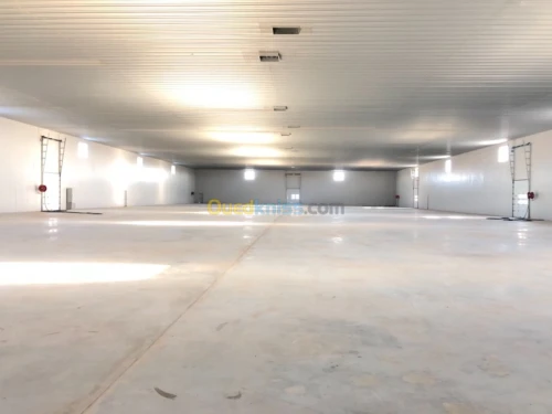 Location Hangar Alger Birtouta