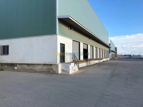 Location Hangar Alger Birtouta