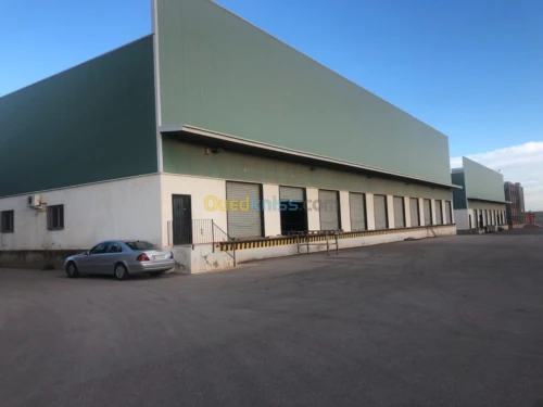 Location Hangar Alger Birtouta