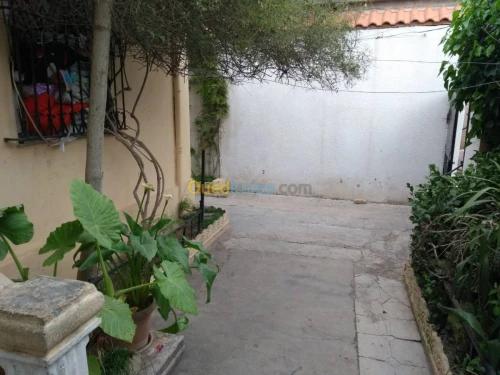 Vente Villa Blida Blida