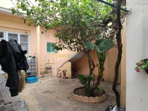 Vente Villa Blida Blida