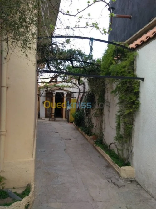 Vente Villa Blida Blida